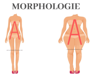 Morphologie en A le guide Amour Mode Beauté