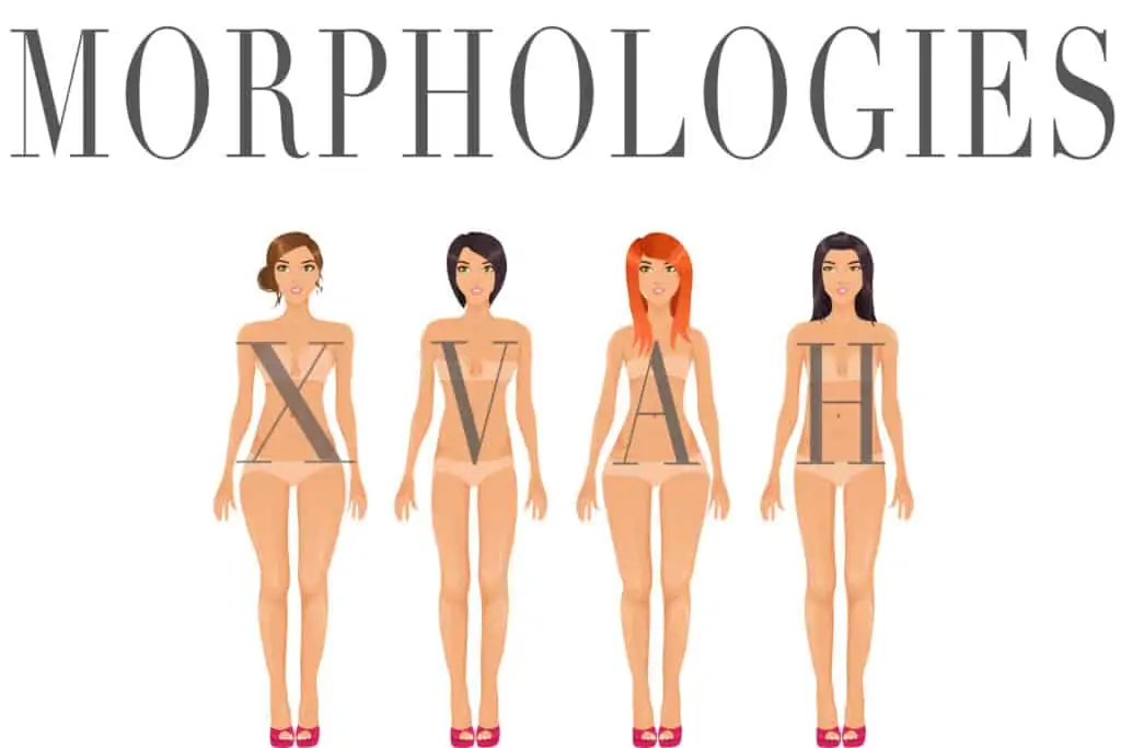 connaitre sa morphologie, comment connaitre sa morphologie, quelle est morphologie, comment s'habiller selon sa morphologie, comment s'habiller morphologie femme, morphologie femme, morphologies femmes, 6 morphologies femme, forme corps femme, silhouette corps femme, déterminer morphologie femme, comment déterminer morphologie femme,